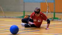 Open training goalbal