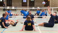 Volleybal