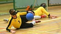 Goalbal